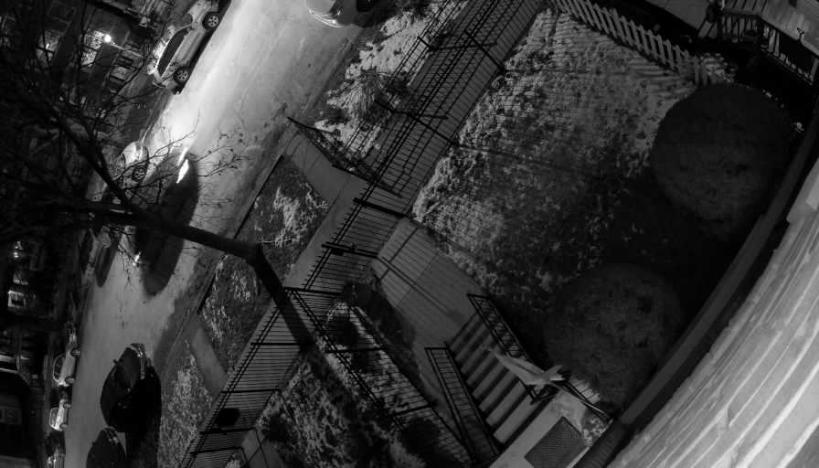 Reolink Camera Two_01_Reolink Home Hub One_20260123191928.jpg